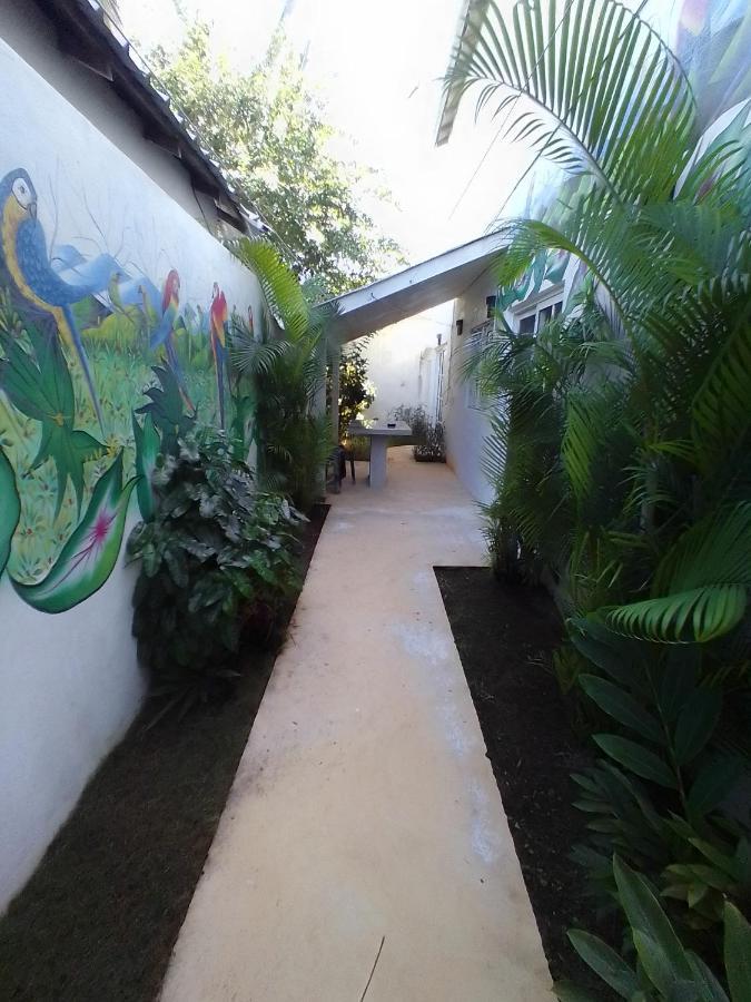 Beach Hotel Casa Nina Las Terrenas Eksteriør billede