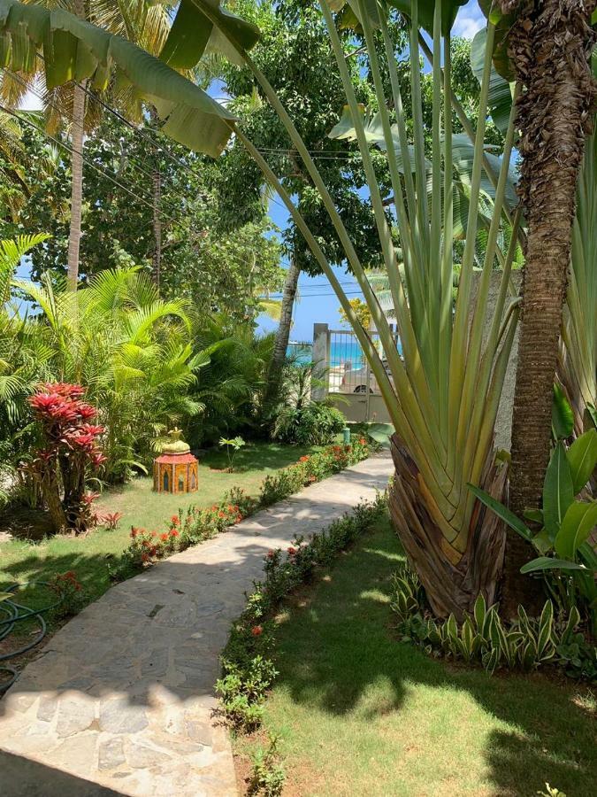 Beach Hotel Casa Nina Las Terrenas Eksteriør billede