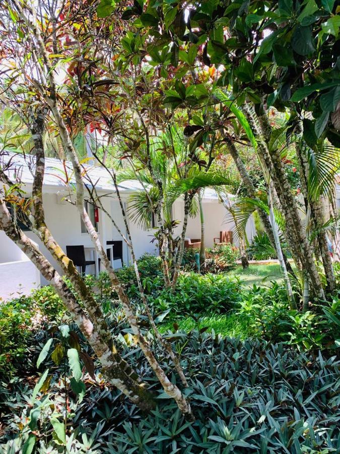 Beach Hotel Casa Nina Las Terrenas Eksteriør billede